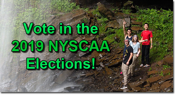 Cast your ballot in the 2019 NYSCAA Elections!