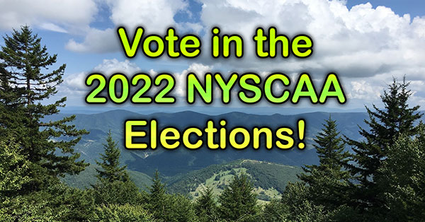 vote-2022-nyscaa-elections-600x314